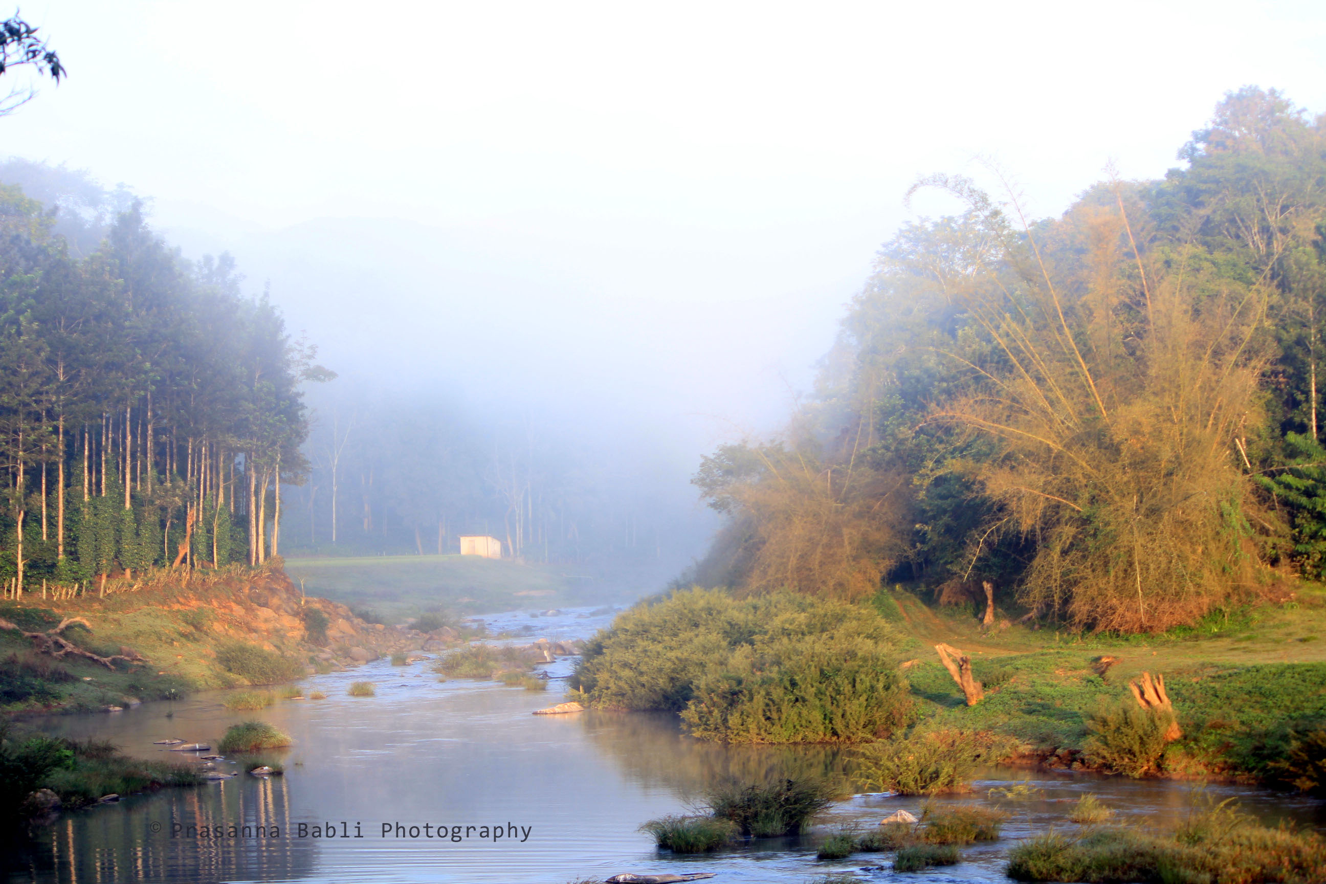 Mesmerizing Sunrise in the wilderness of nature...from the bank of river Hatti in Coorg