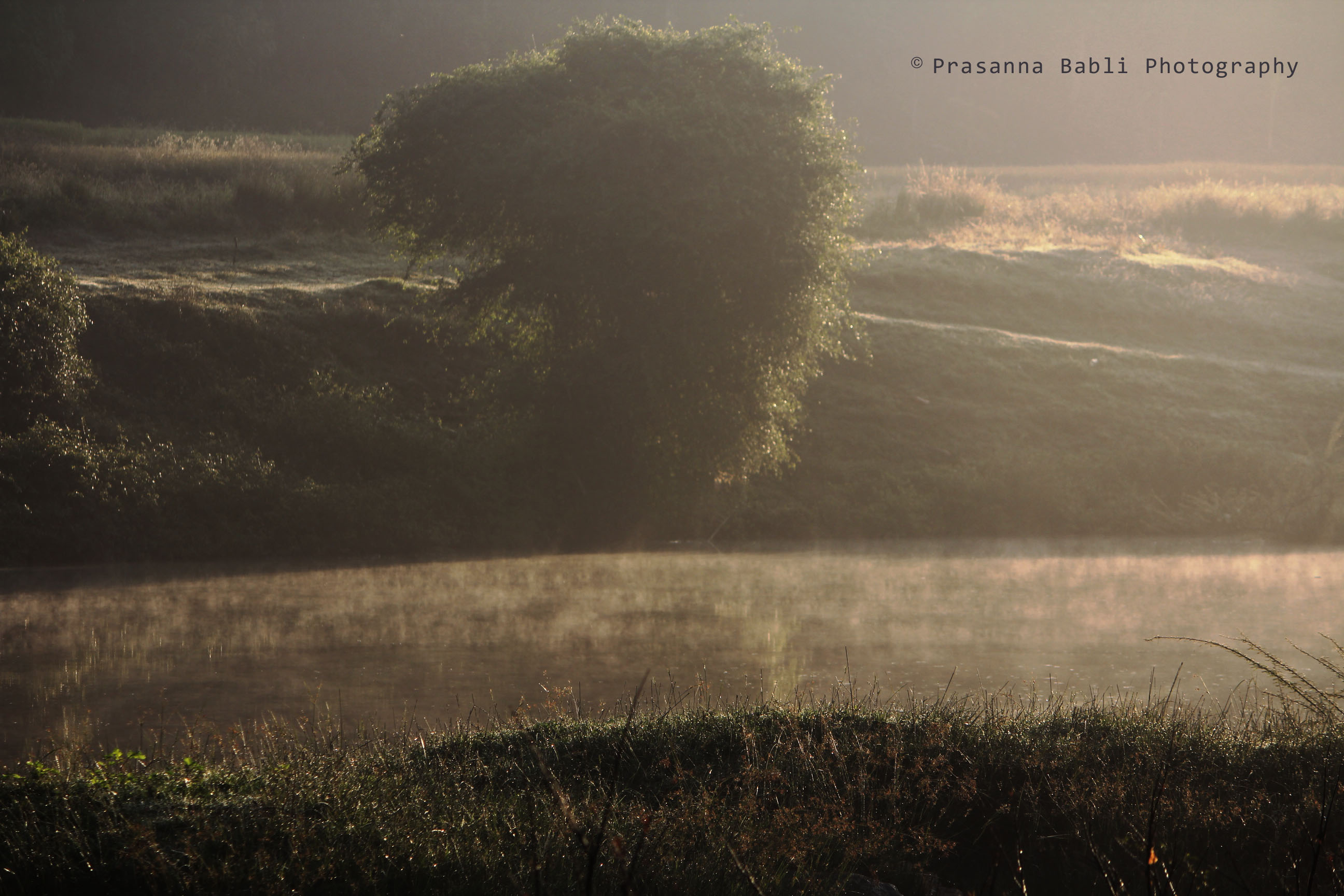 Water evaporating just to fall down again as dew